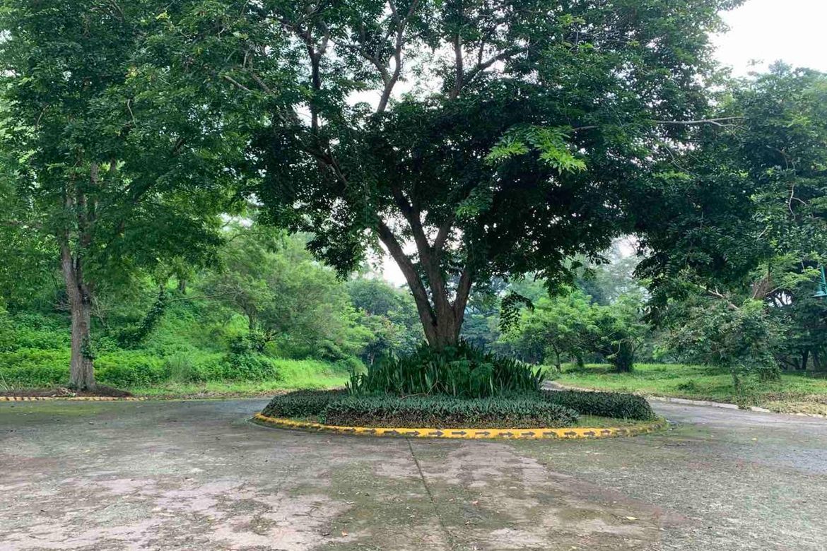 Land for Sale in San Gregorio, Laurel, Batangas – photo 4