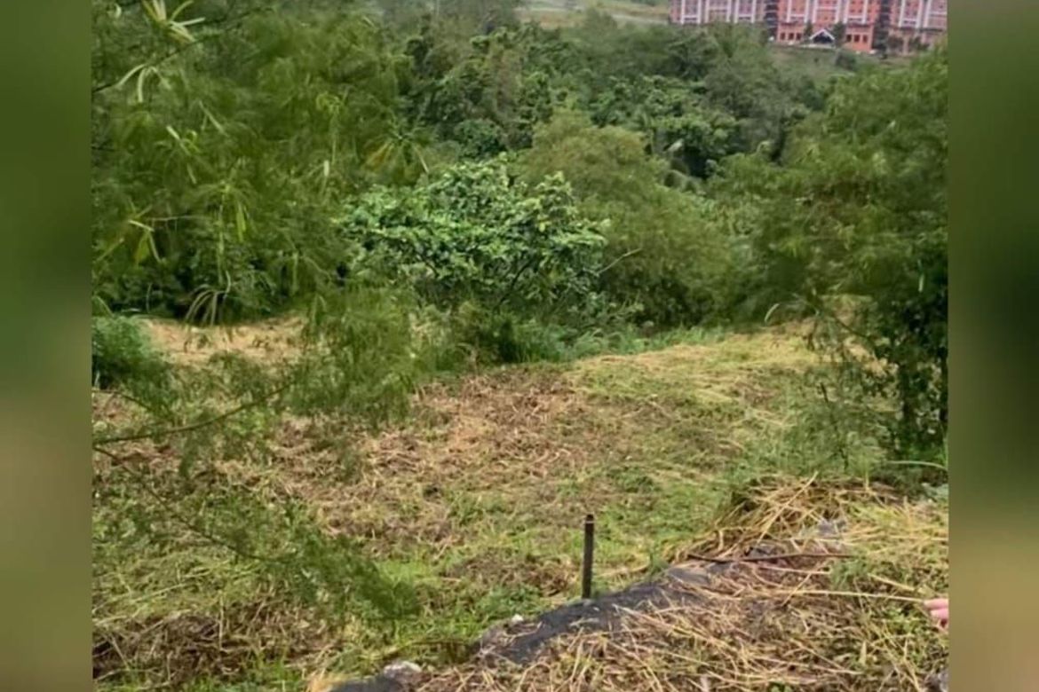 Land for Sale in San Gregorio, Laurel, Batangas