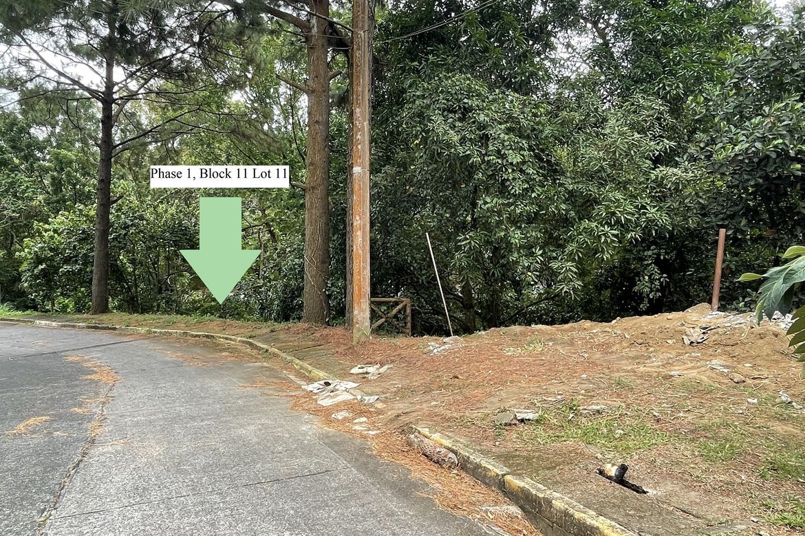 Land for Sale in San Gregorio, Laurel, Batangas