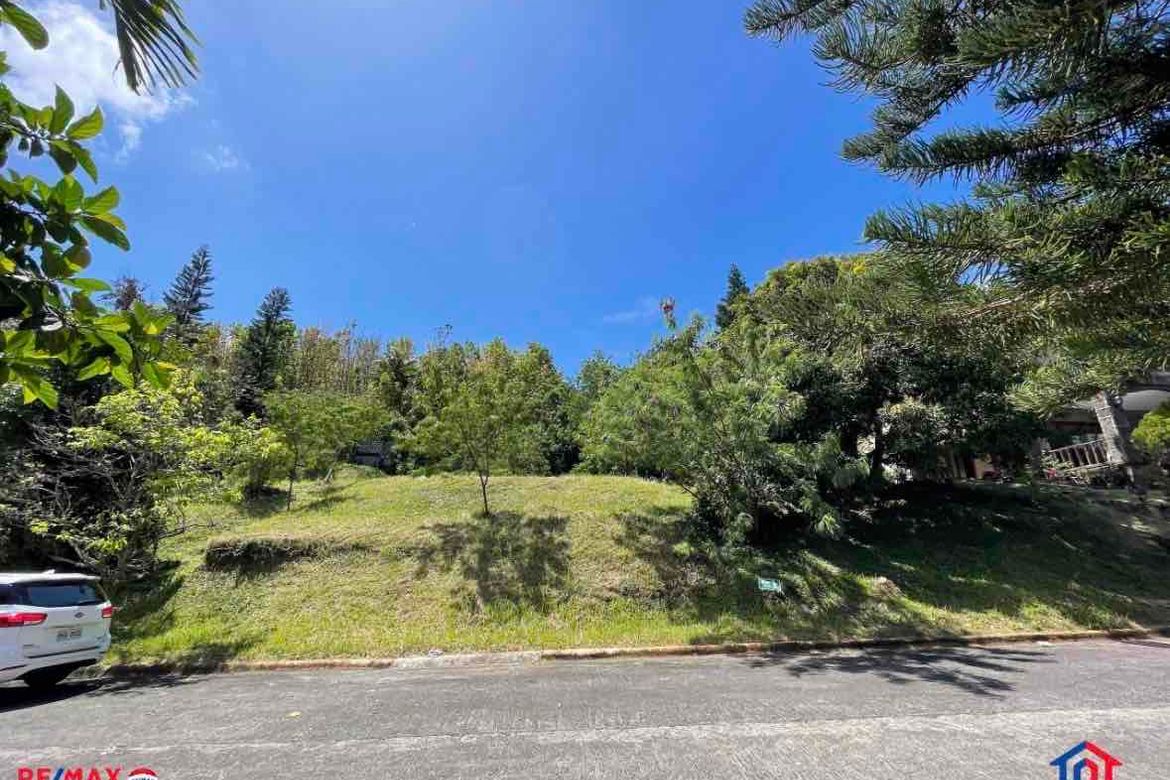 Land for Sale in San Gregorio, Laurel, Batangas