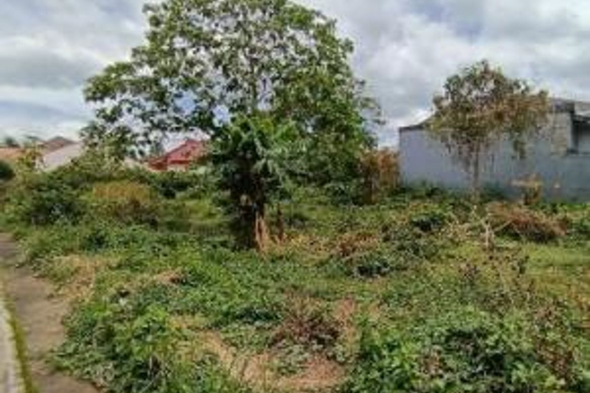 Land for Sale in San Gregorio, San Pablo, Laguna