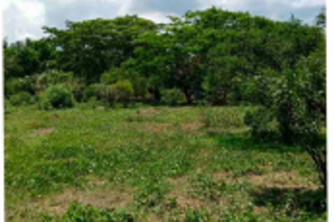 Land for Sale in San Guillermo, Lipa, Batangas – photo 3