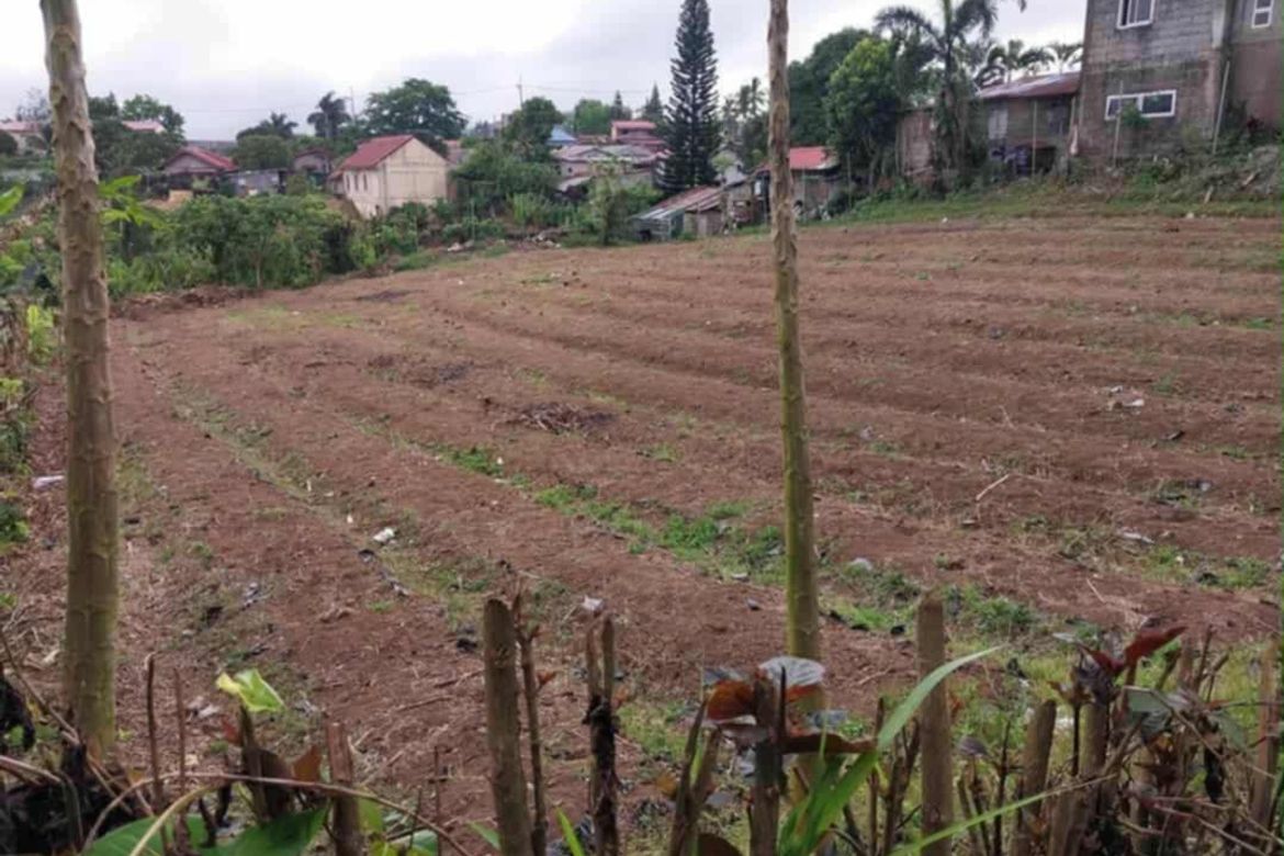 Land for Sale in San Guillermo, Talisay, Batangas – photo 3