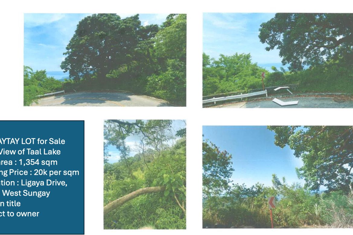 Land for Sale in San Guillermo, Talisay, Batangas – photo 3