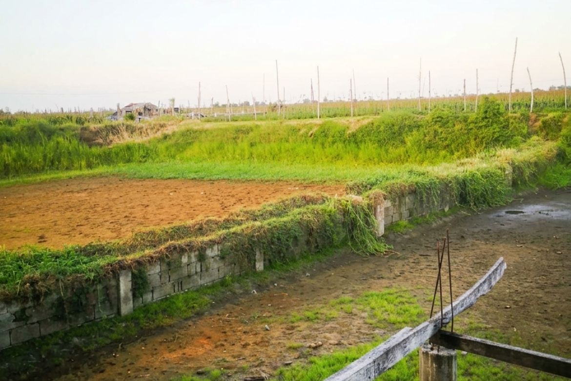 Land for Sale in San Ildefonso, Magalang, Pampanga – photo 3