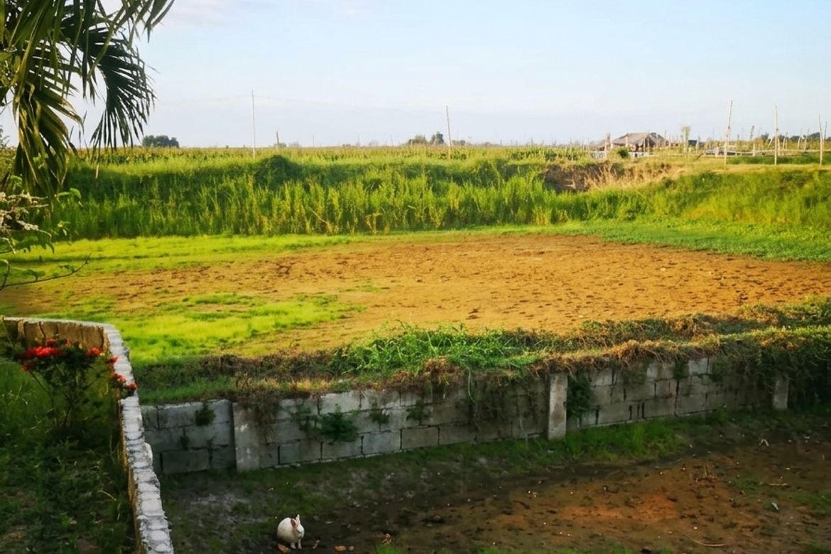 Land for Sale in San Ildefonso, Magalang, Pampanga – photo 4