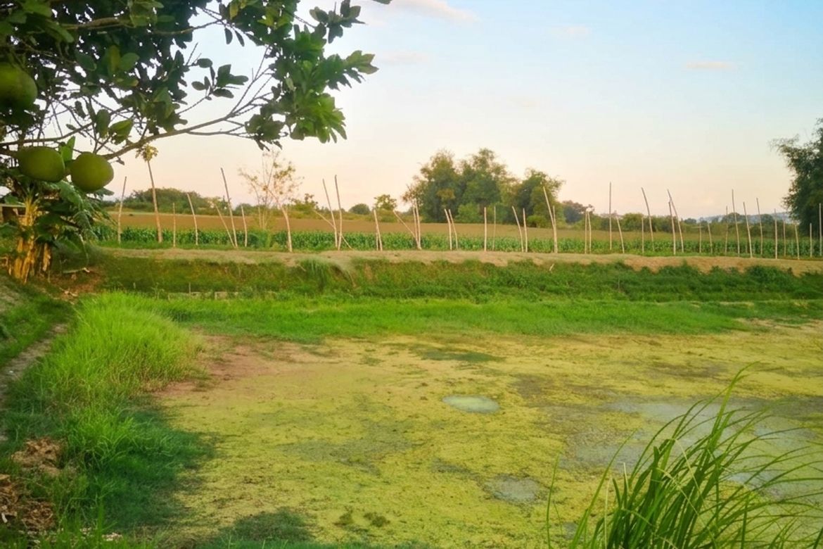 Land for Sale in San Ildefonso, Magalang, Pampanga – photo 5