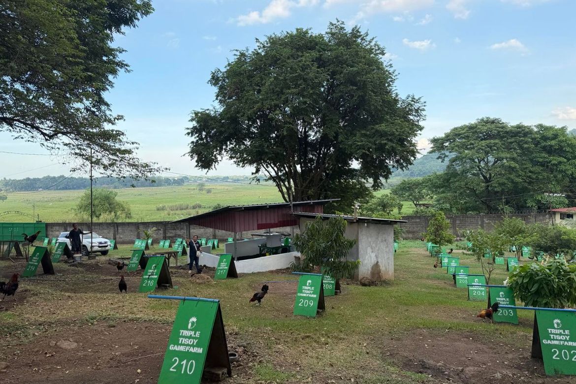 Land for Sale in San Ildefonso, Magalang, Pampanga