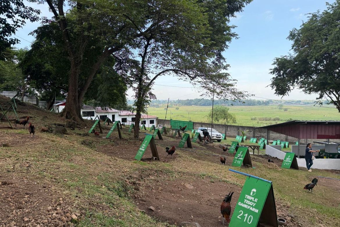 Land for Sale in San Ildefonso, Magalang, Pampanga – photo 2