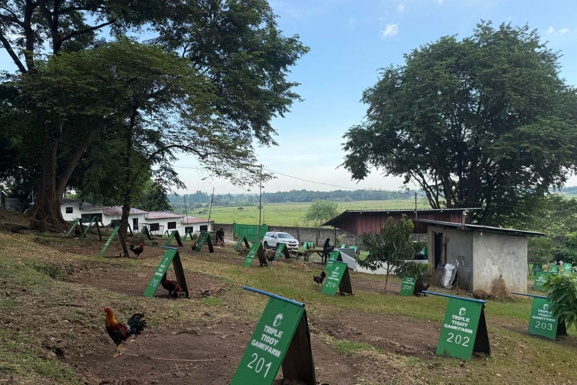 Land for Sale in San Ildefonso, Magalang, Pampanga – photo 4