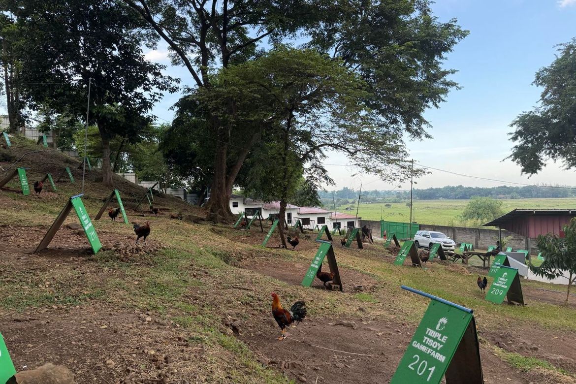 Land for Sale in San Ildefonso, Magalang, Pampanga – photo 5