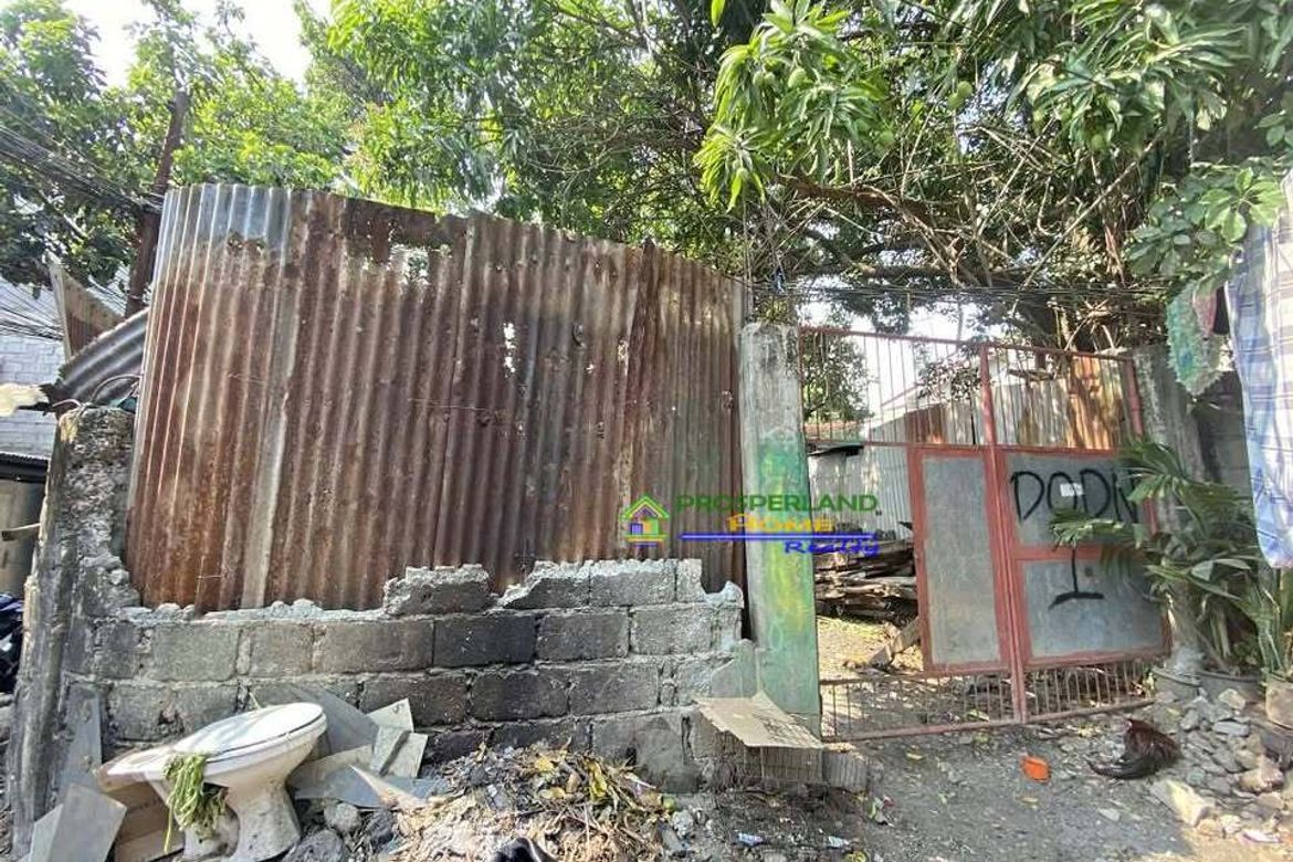Land for Sale in San Isidro, Angono, Rizal