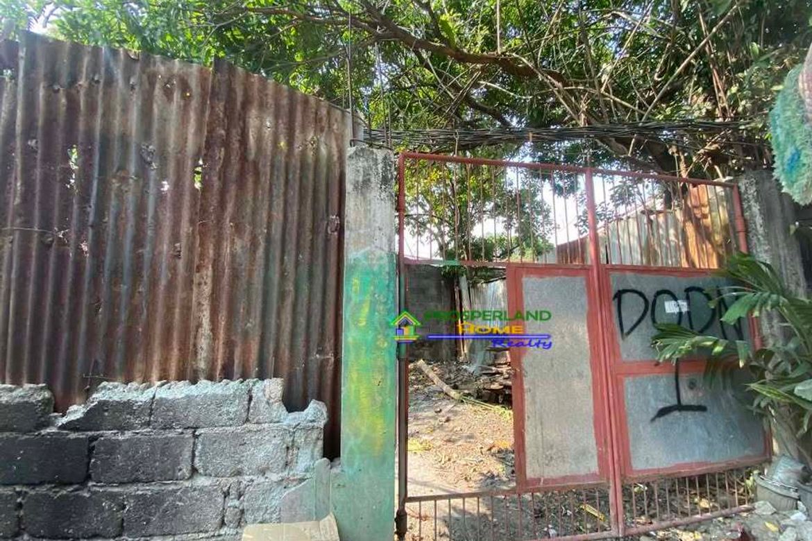 Land for Sale in San Isidro, Angono, Rizal – photo 2
