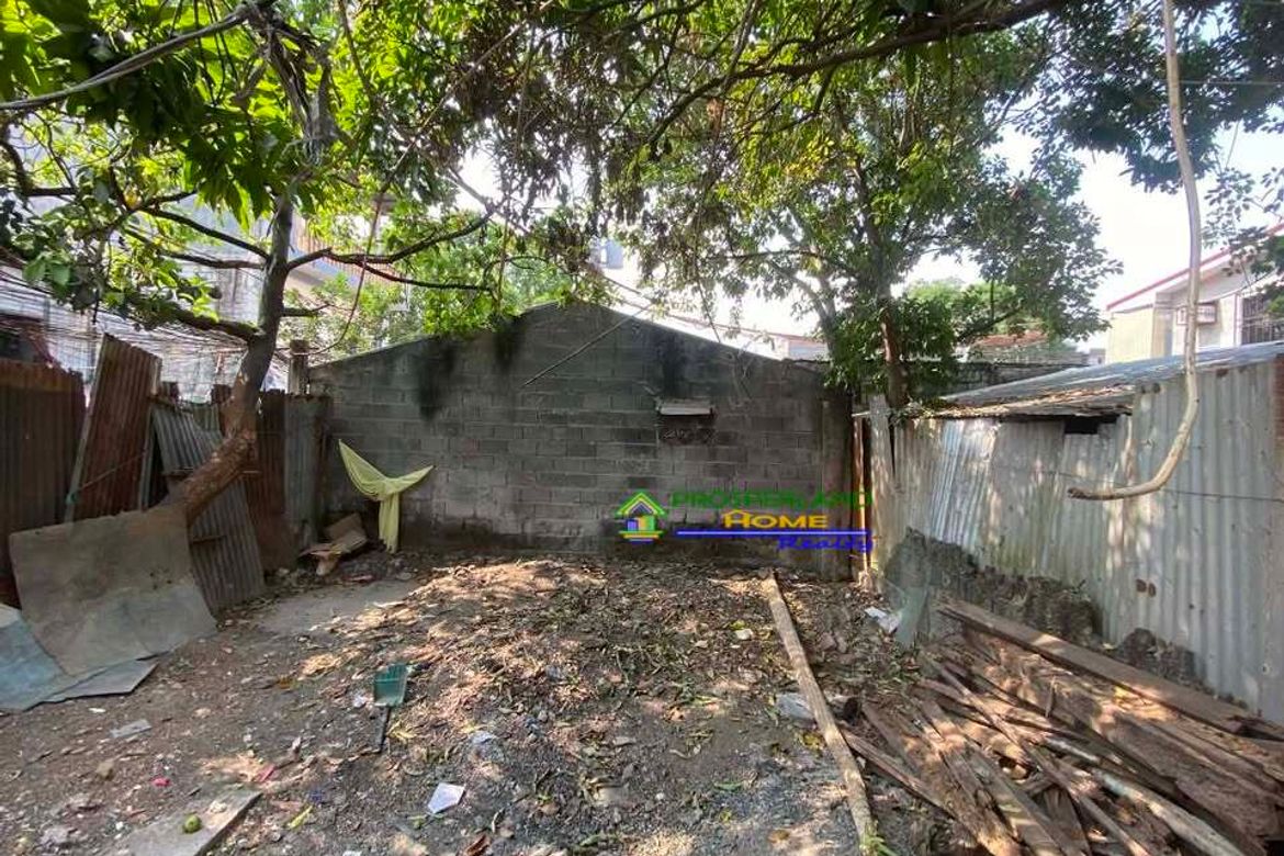 Land for Sale in San Isidro, Angono, Rizal – photo 4