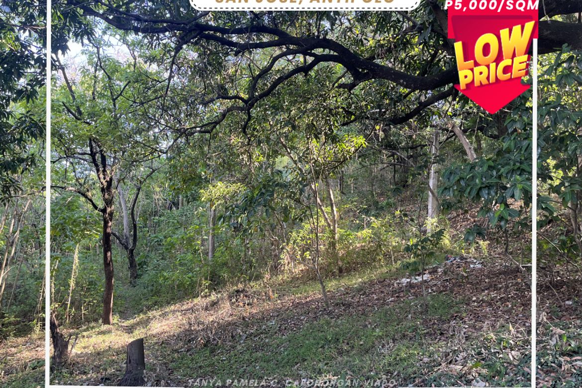Land for Sale in San Isidro, Antipolo, Rizal – photo 4