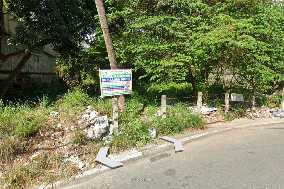 Land for Sale in San Isidro, Antipolo, Rizal