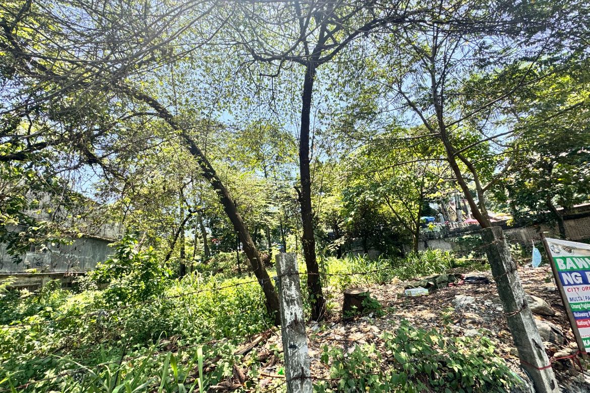Land for Sale in San Isidro, Antipolo, Rizal – photo 2