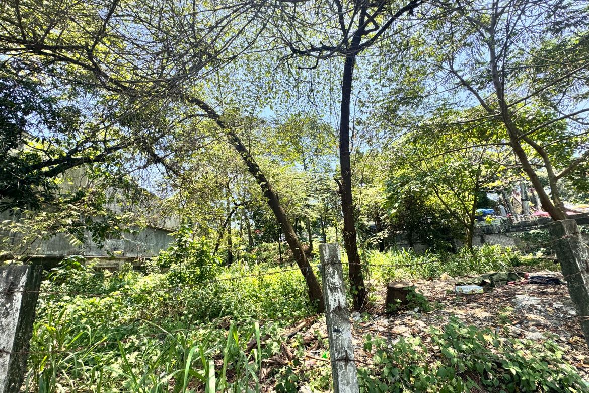 Land for Sale in San Isidro, Antipolo, Rizal – photo 3