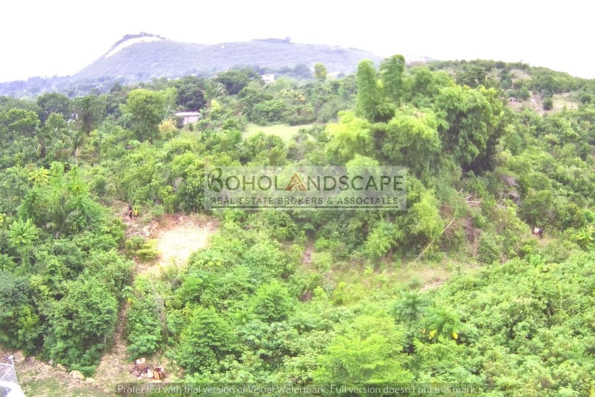 Land for Sale in San Isidro, Baclayon, Bohol – photo 2