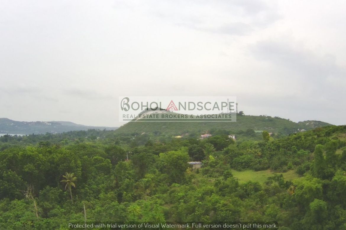 Land for Sale in San Isidro, Baclayon, Bohol – photo 4