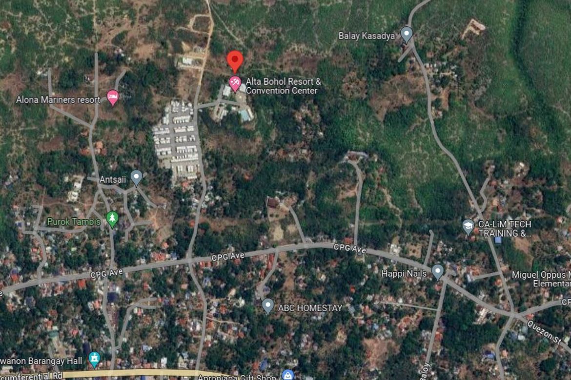 Land for Sale in San Isidro, Baclayon, Bohol – photo 6