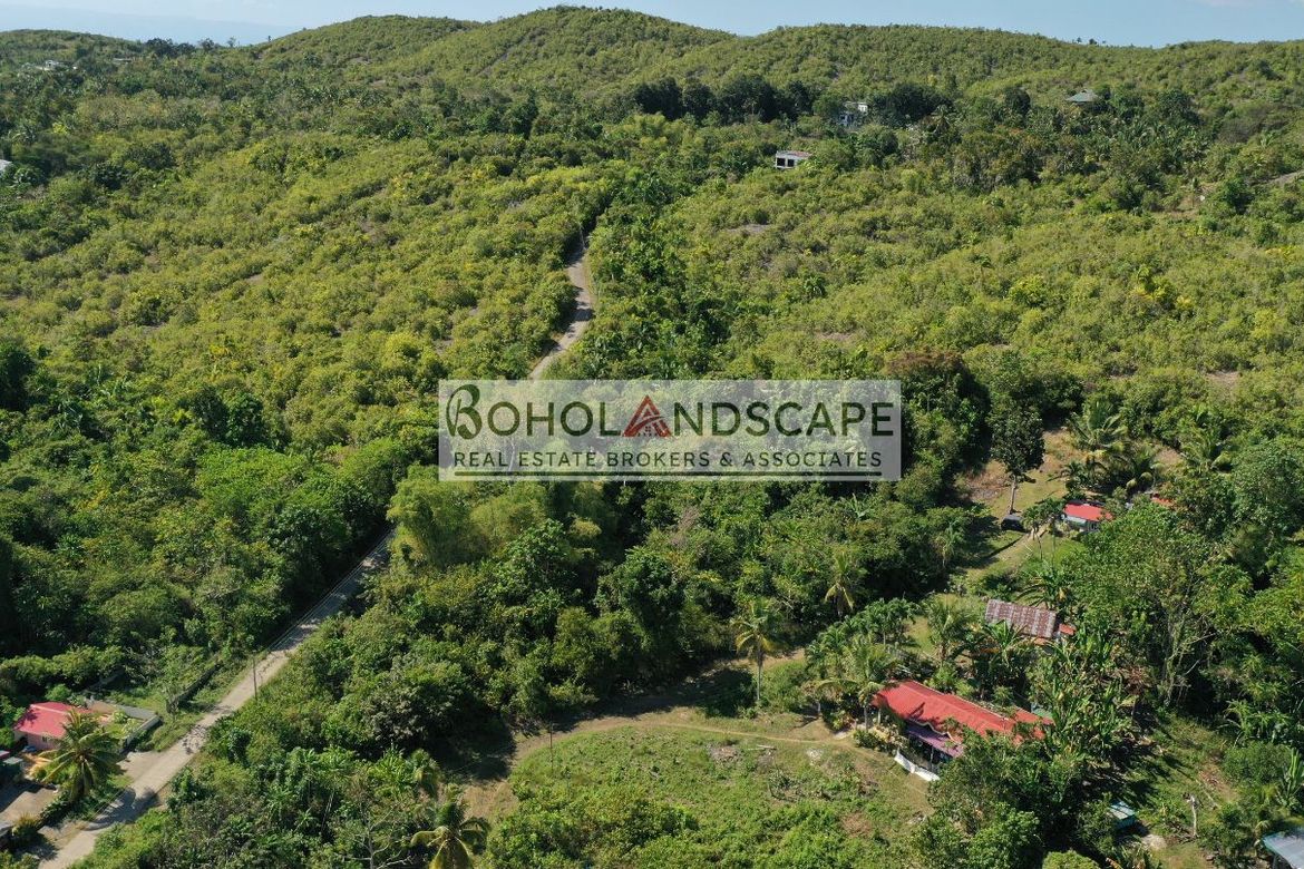 Land for Sale in San Isidro, Baclayon, Bohol – photo 4