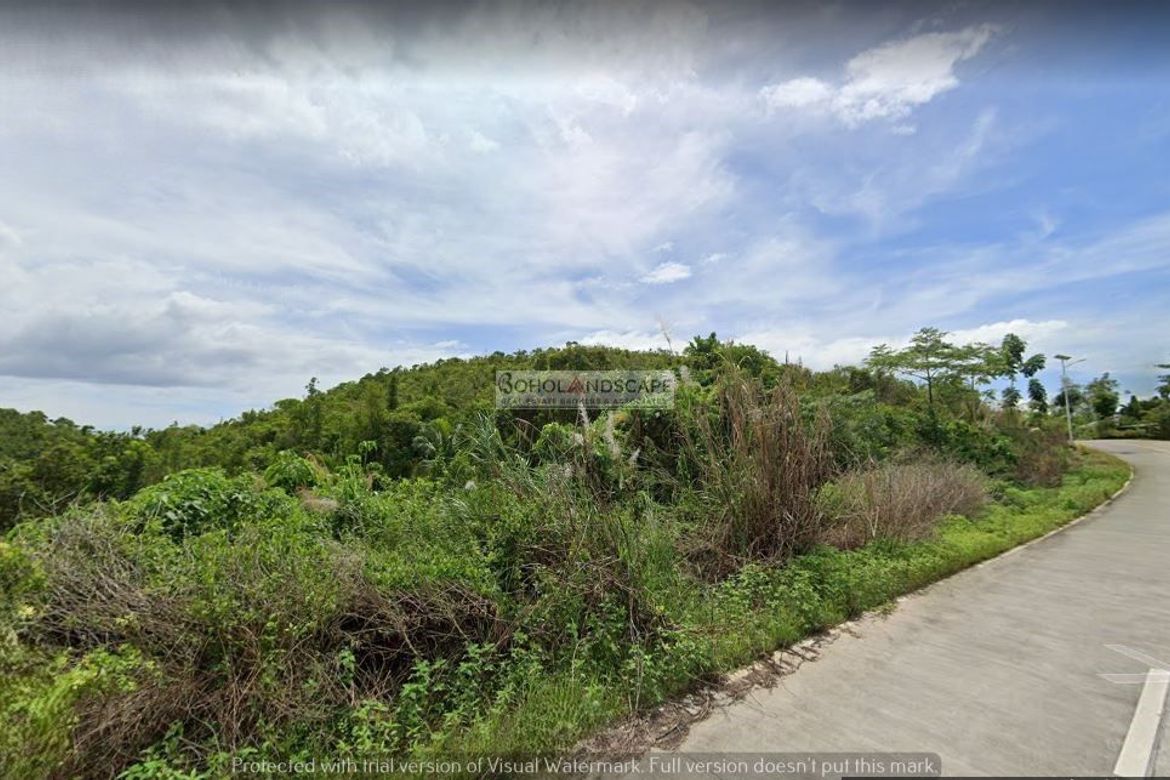 Land for Sale in San Isidro, Baclayon, Bohol