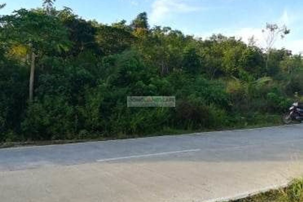 Land for Sale in San Isidro, Baclayon, Bohol – photo 2