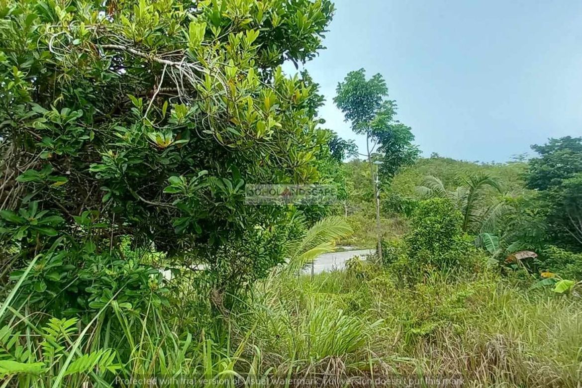 Land for Sale in San Isidro, Baclayon, Bohol – photo 6