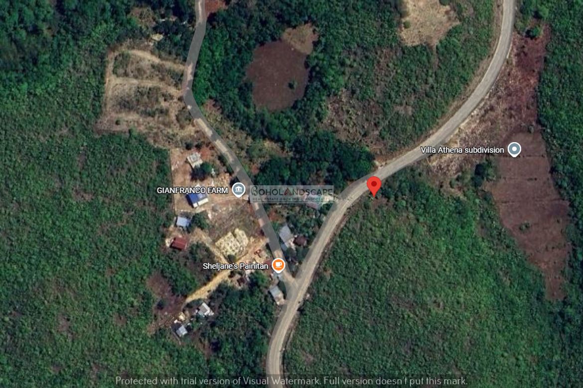 Land for Sale in San Isidro, Baclayon, Bohol – photo 8