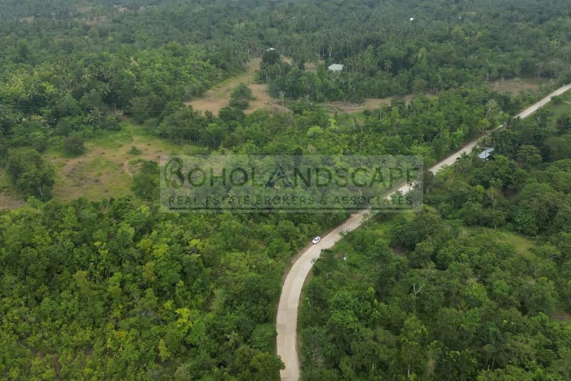 Land for Sale in San Isidro, Balilihan, Bohol – photo 4