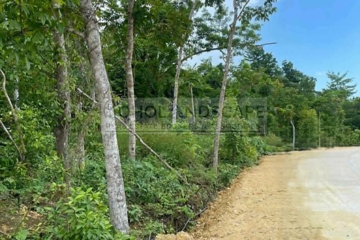 Land for Sale in San Isidro, Balilihan, Bohol – photo 5