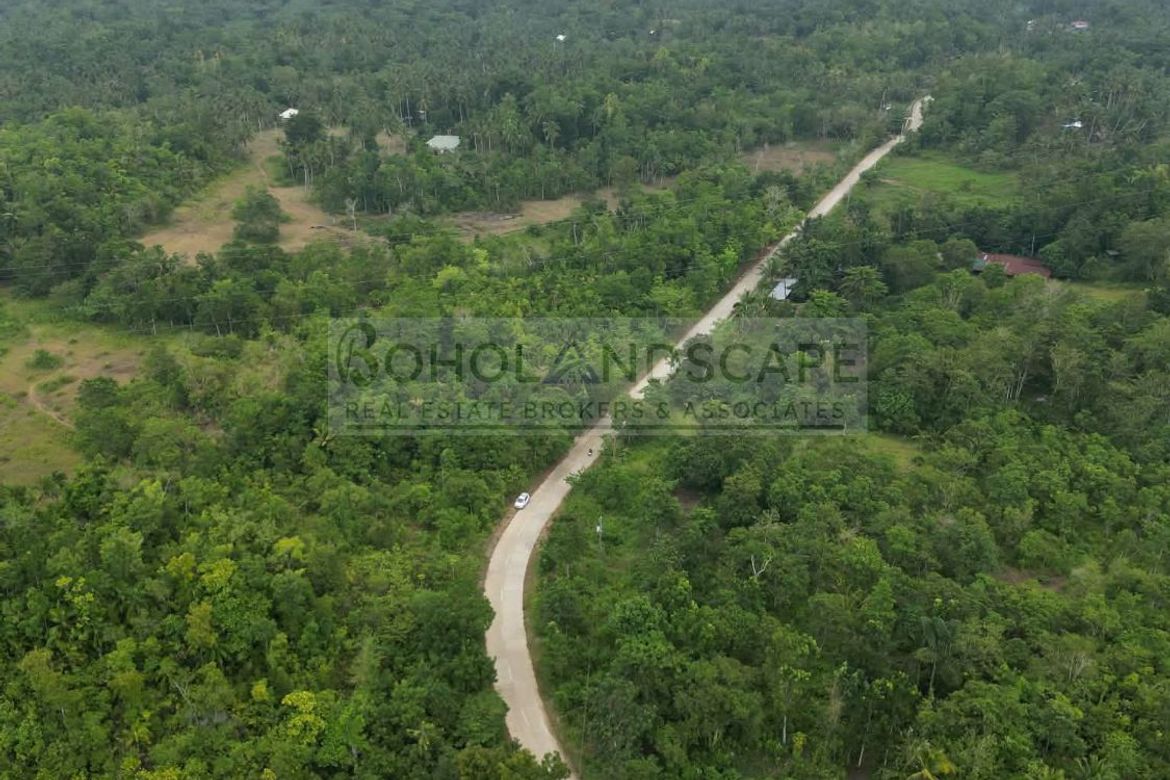 Land for Sale in San Isidro, Balilihan, Bohol – photo 6