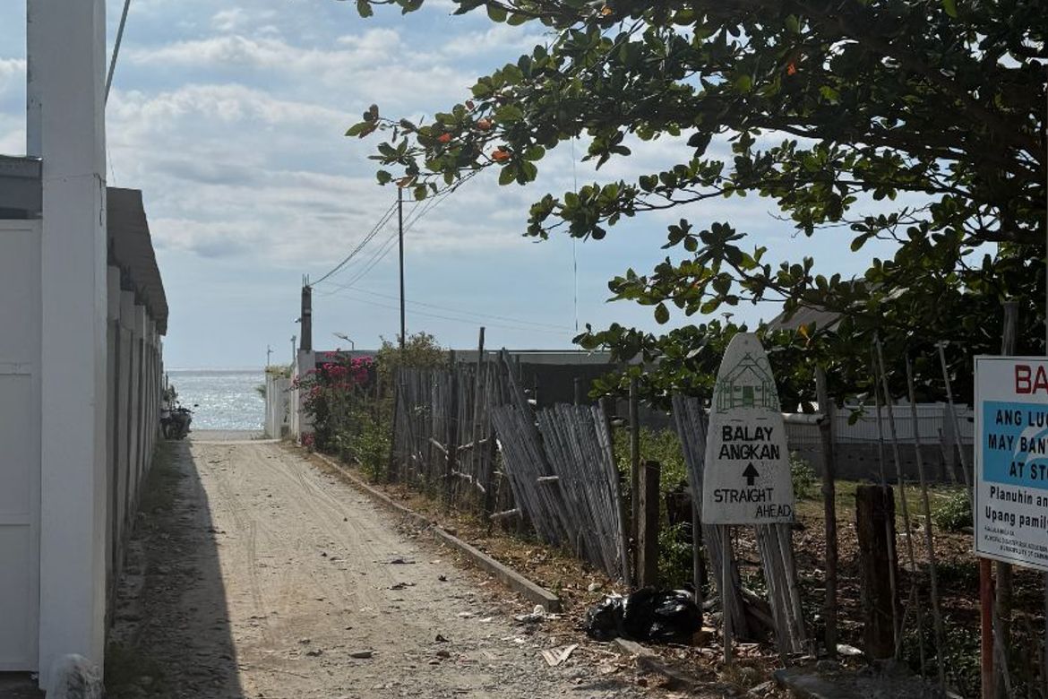 Land for Sale in San Isidro, Cabangan, Zambales – photo 8