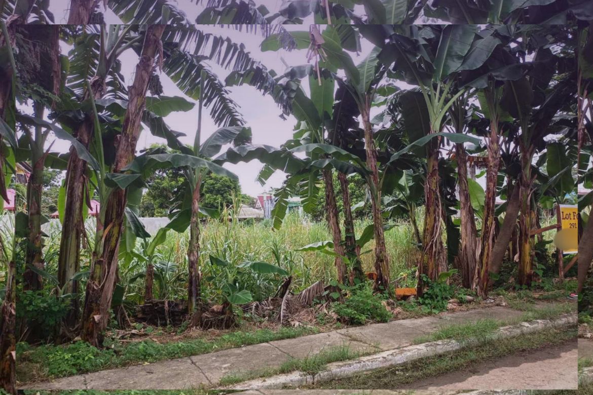 Land for Sale in San Isidro, Cainta, Rizal – photo 3