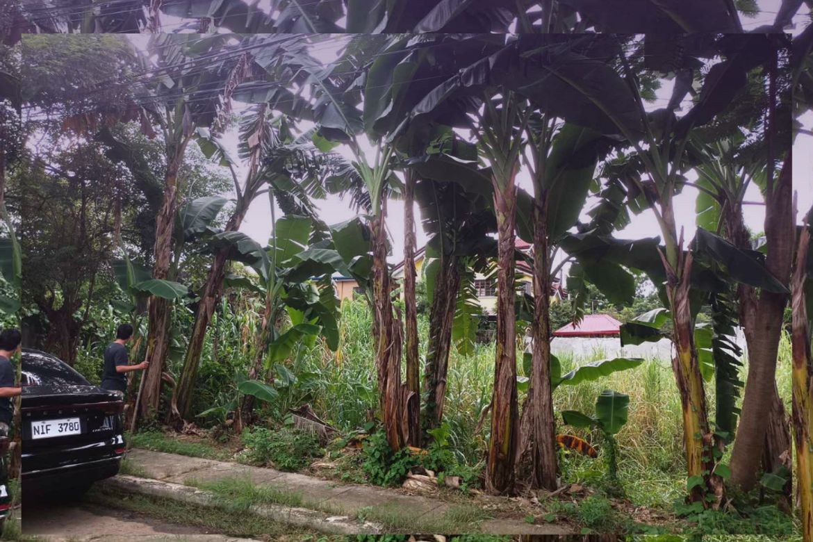 Land for Sale in San Isidro, Cainta, Rizal – photo 4