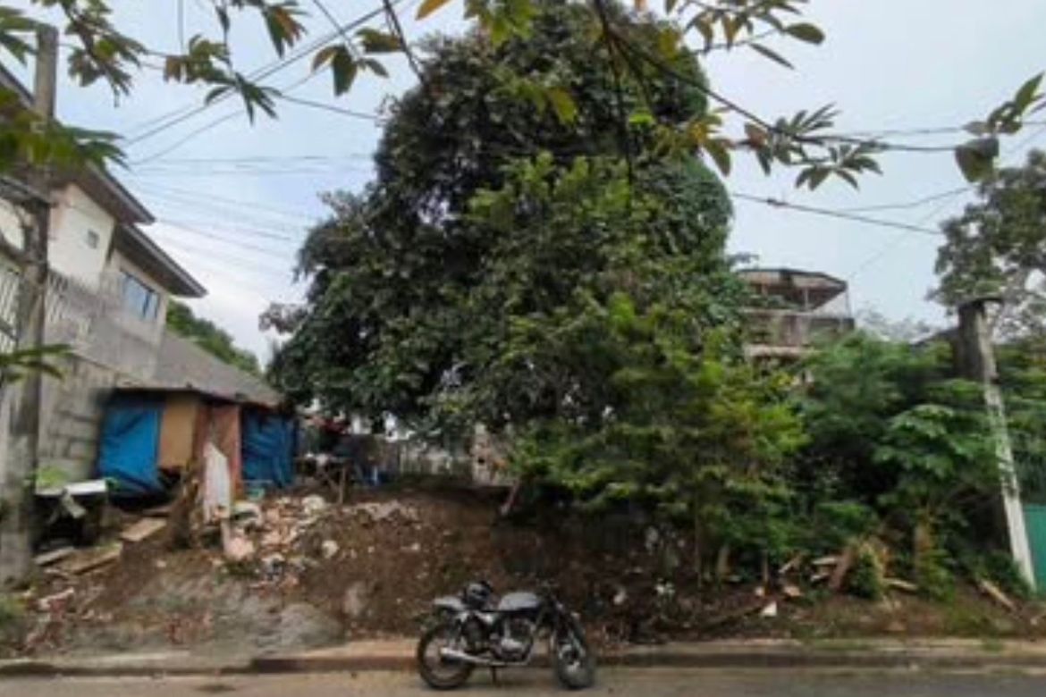 Land for Sale in San Isidro, Cainta, Rizal – photo 2