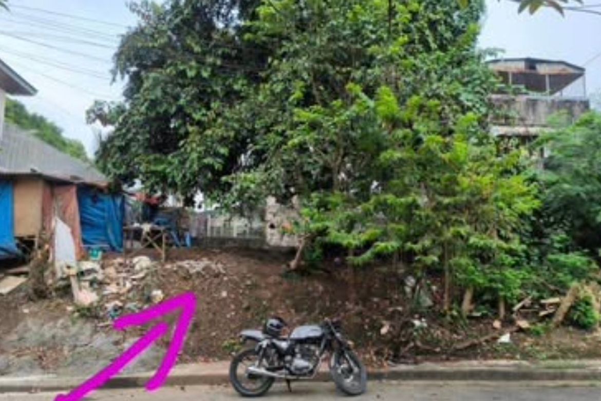 Land for Sale in San Isidro, Cainta, Rizal – photo 3
