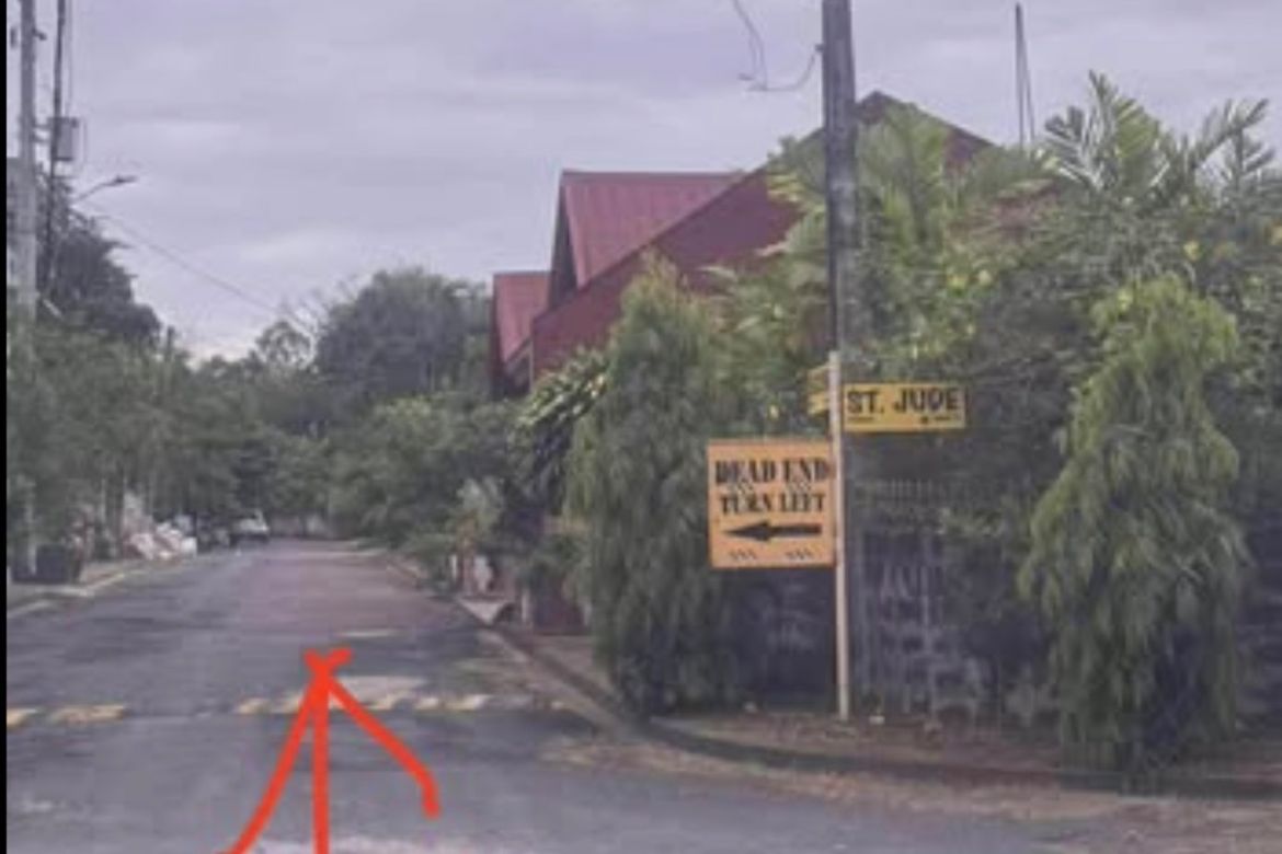 Land for Sale in San Isidro, Cainta, Rizal – photo 5