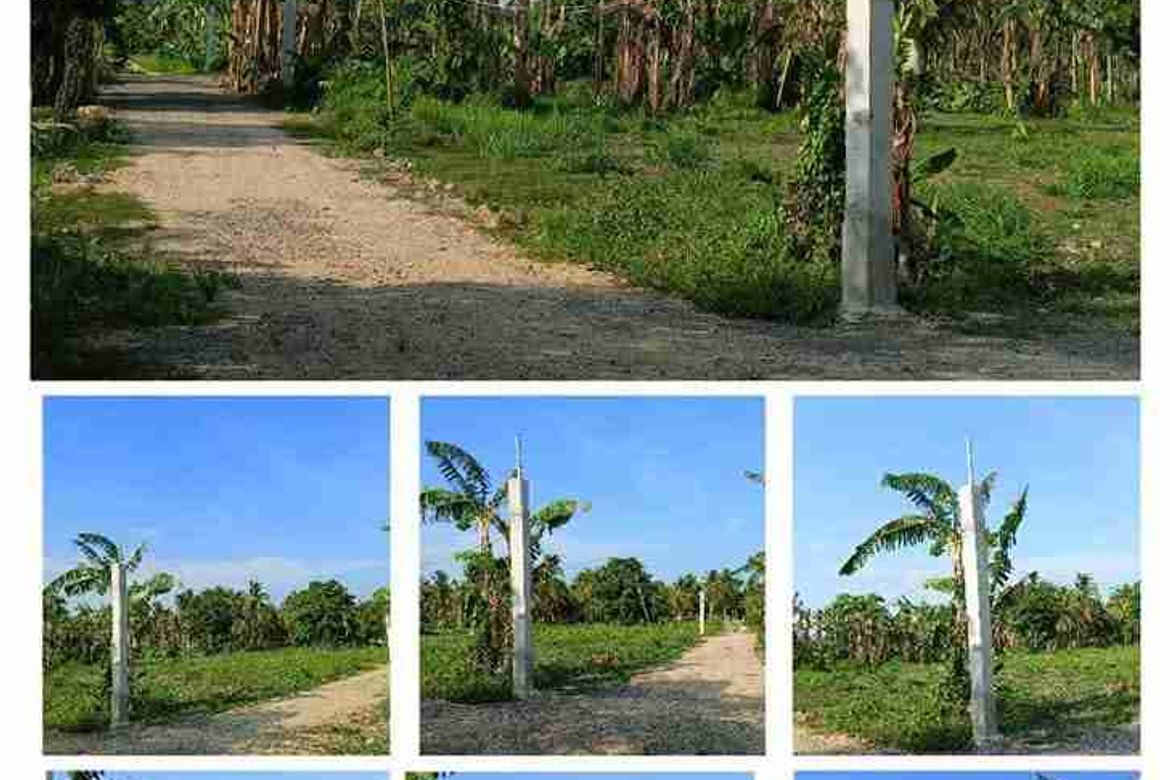 Land for Sale in San Isidro, Candelaria, Quezon