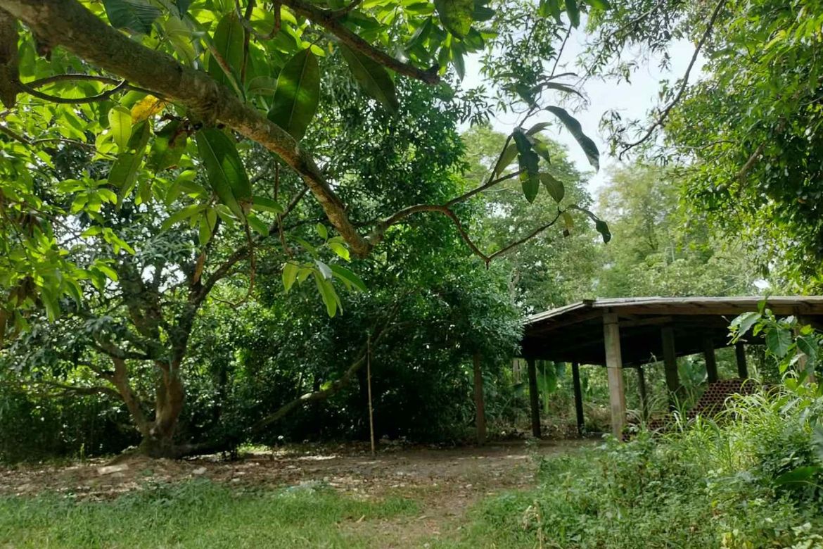 Land for Sale in San Isidro, Cauayan, Isabela – photo 7