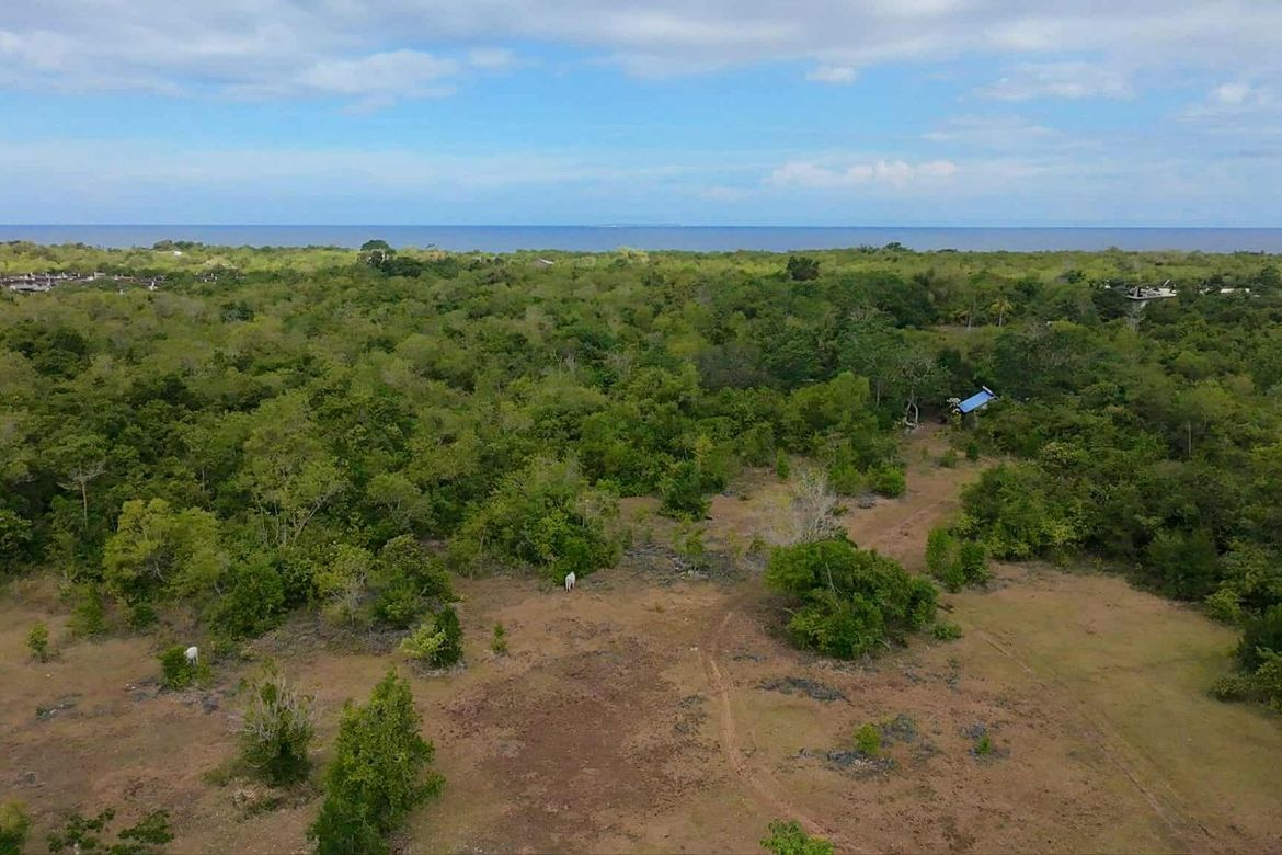 Land for Sale in San Isidro, Dauis, Bohol – photo 3