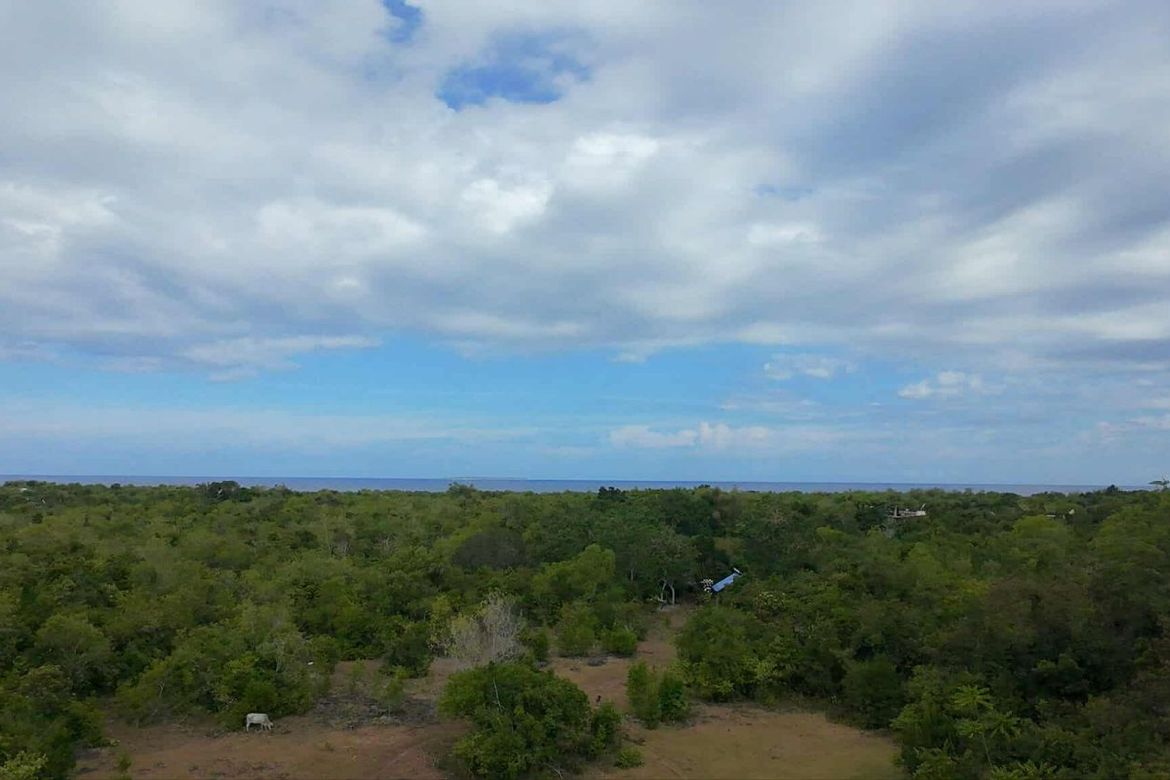 Land for Sale in San Isidro, Dauis, Bohol – photo 8