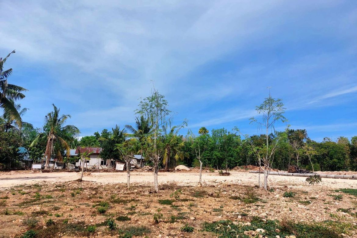Land for Sale in San Isidro, Dauis, Bohol – photo 4