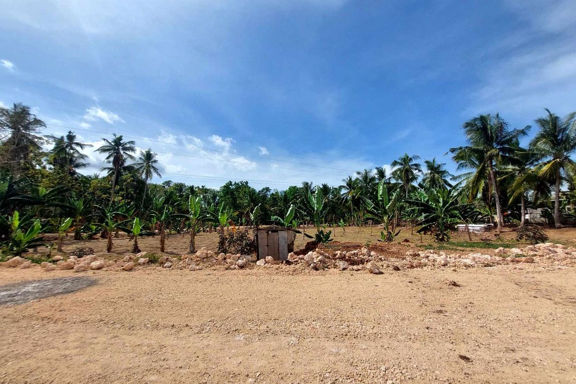 Land for Sale in San Isidro, Dauis, Bohol – photo 5