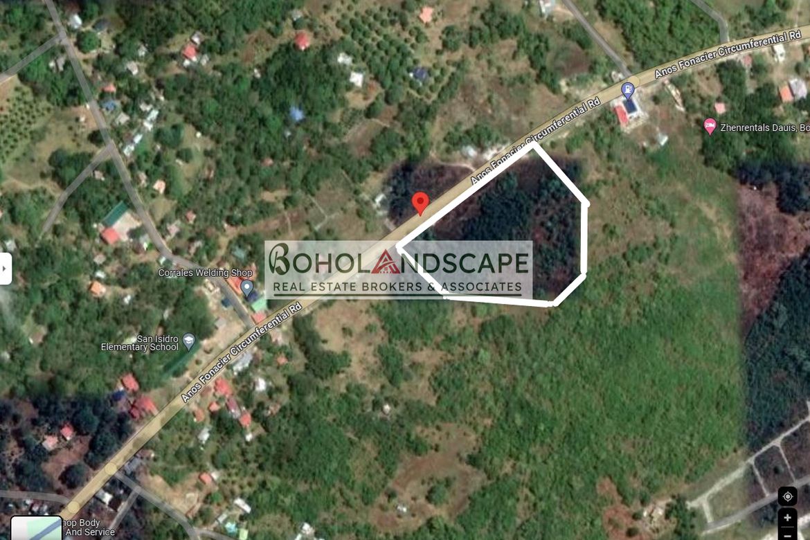 Land for Sale in San Isidro, Dauis, Bohol – photo 2