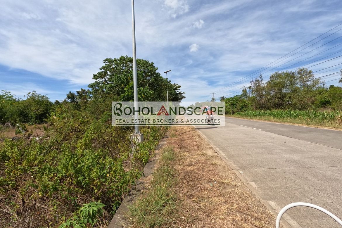 Land for Sale in San Isidro, Dauis, Bohol – photo 3