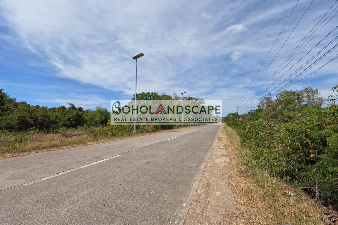 Land for Sale in San Isidro, Dauis, Bohol – photo 4