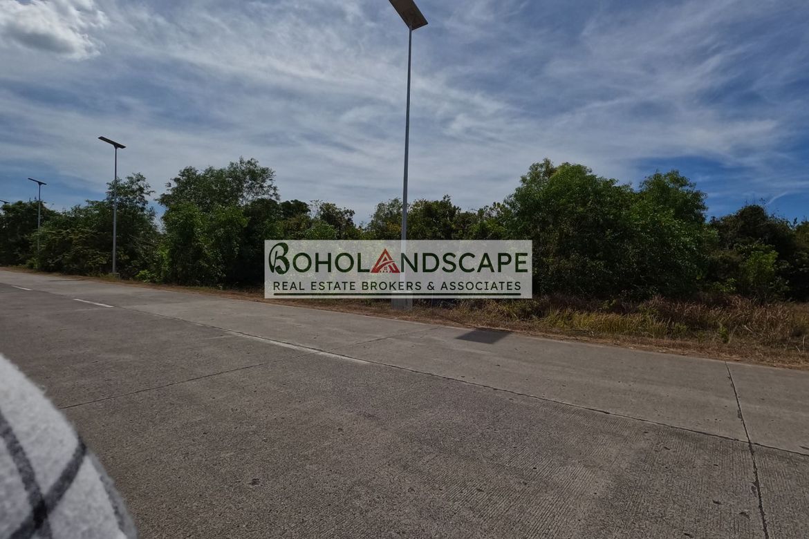 Land for Sale in San Isidro, Dauis, Bohol – photo 6