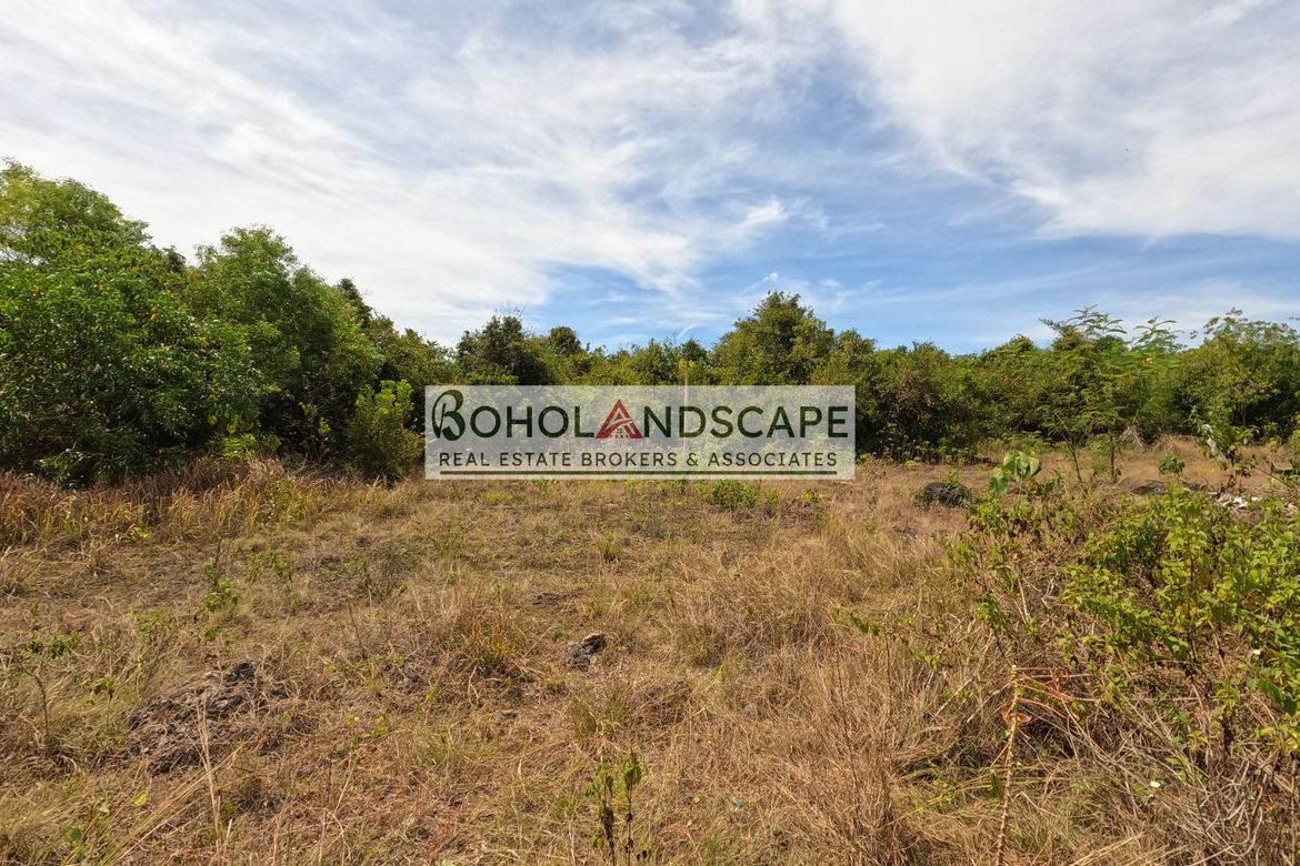 Land for Sale in San Isidro, Dauis, Bohol – photo 7